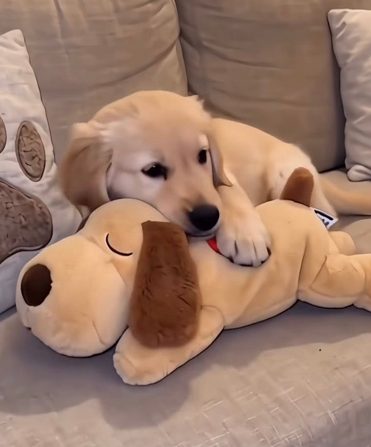 Cucciolo Batticuore - Peluche Anti-Ansia con Cuore che Batte ❤️
