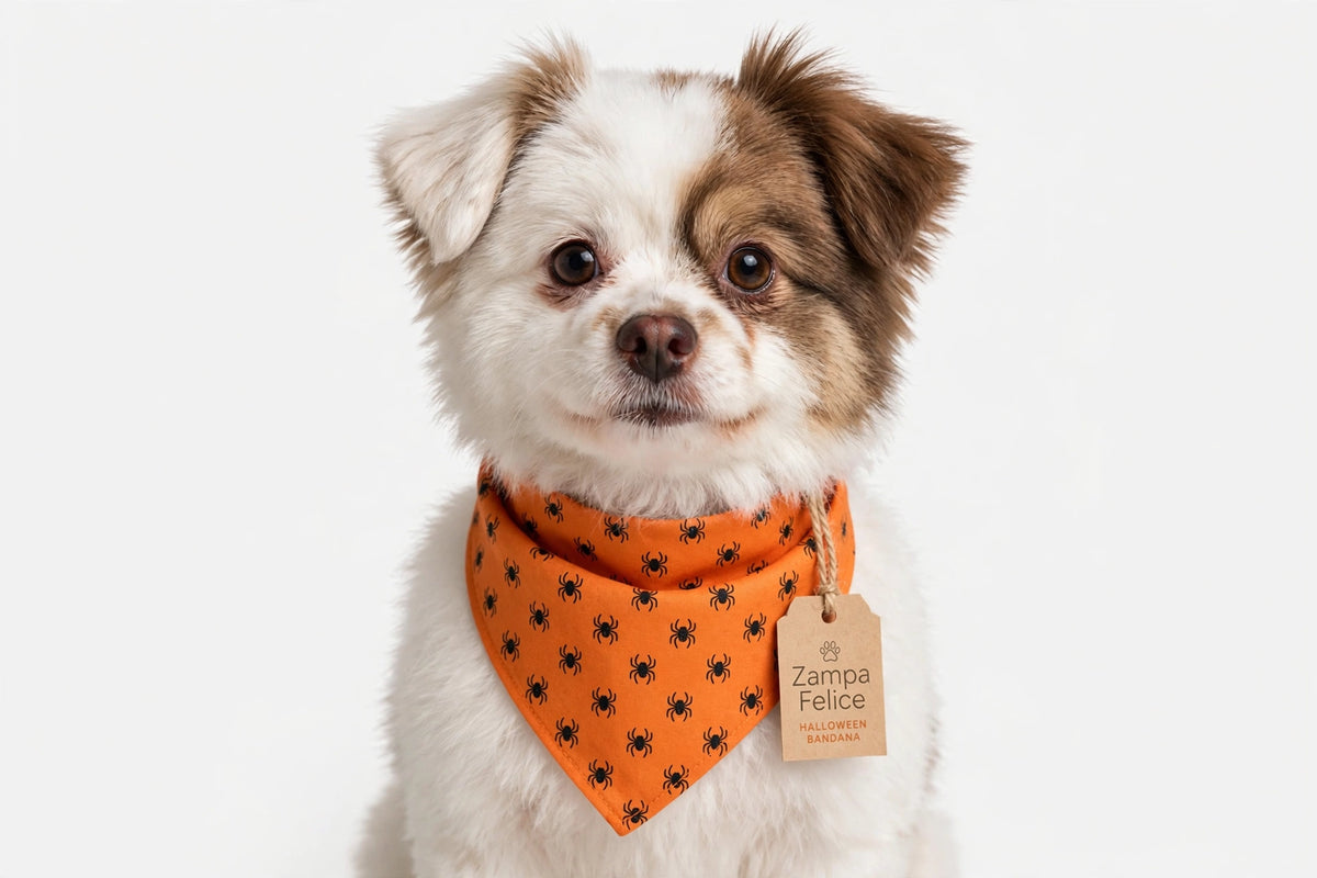 Bandana Halloween per Cani e Gatti - Zucche e Ragnetti 🎃 - Zampa Felice