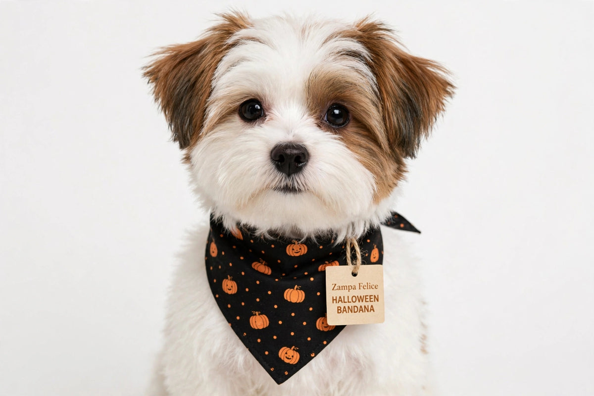 Bandana Halloween per Cani e Gatti - Zucche e Ragnetti 🎃 - Zampa Felice